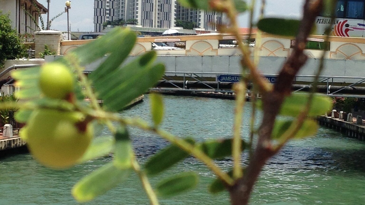 Photo of Others in Malacca City