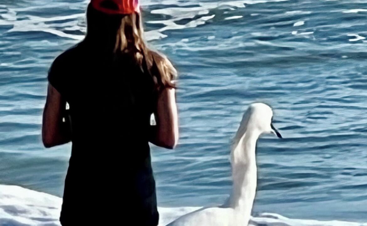 Photo of Others in Ormond Beach