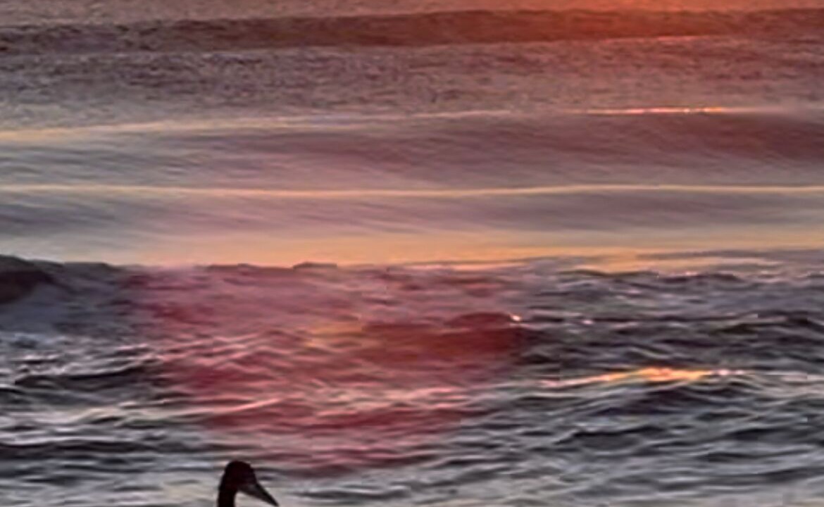 Photo of Others in Ormond Beach