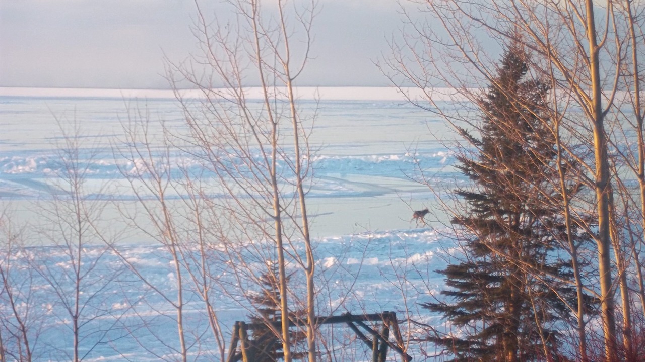 Photo of Outdoor in Croftville
