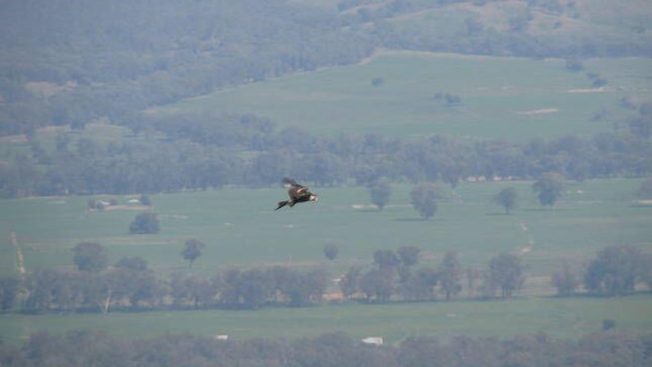 Photo of Outdoor in Beechworth