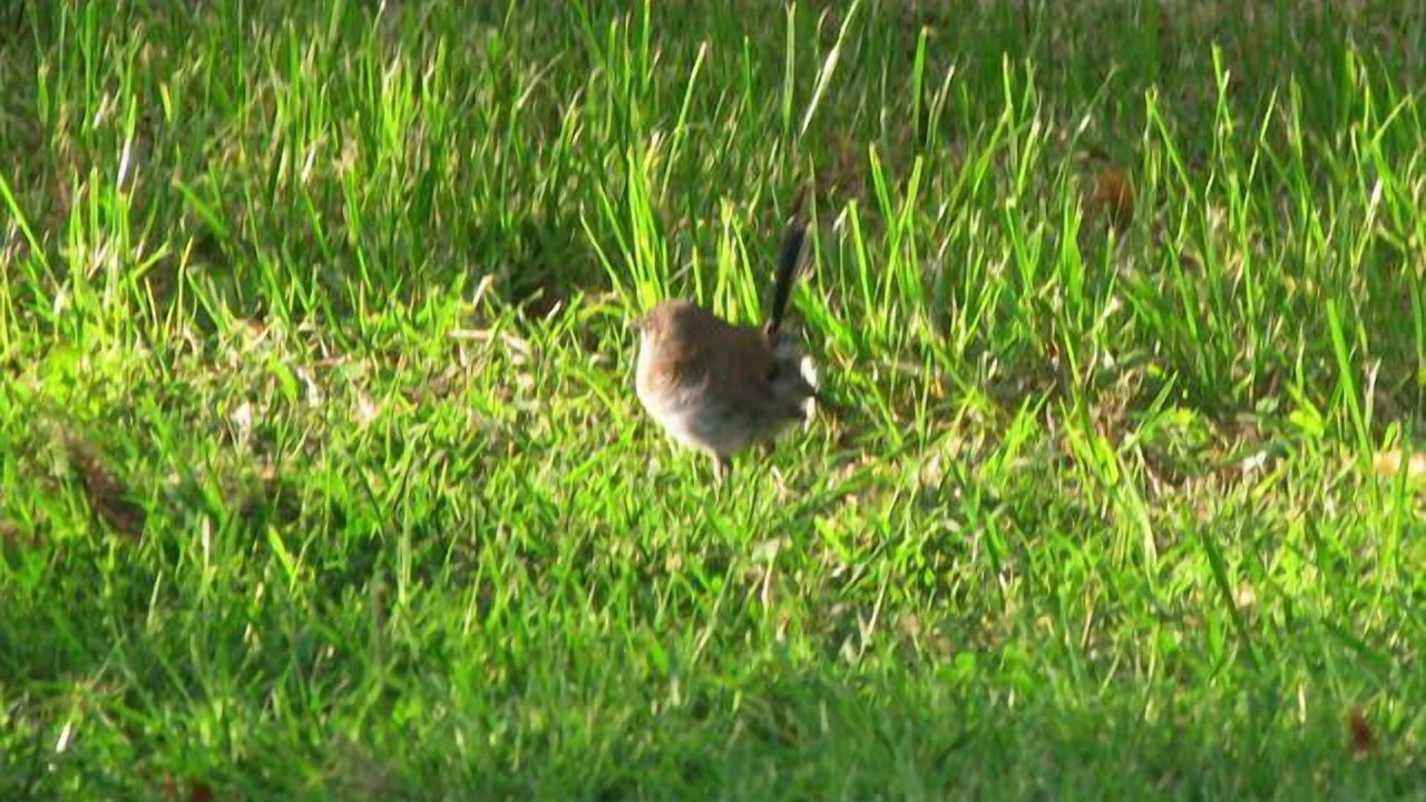 Photo of Outdoor in Beechworth