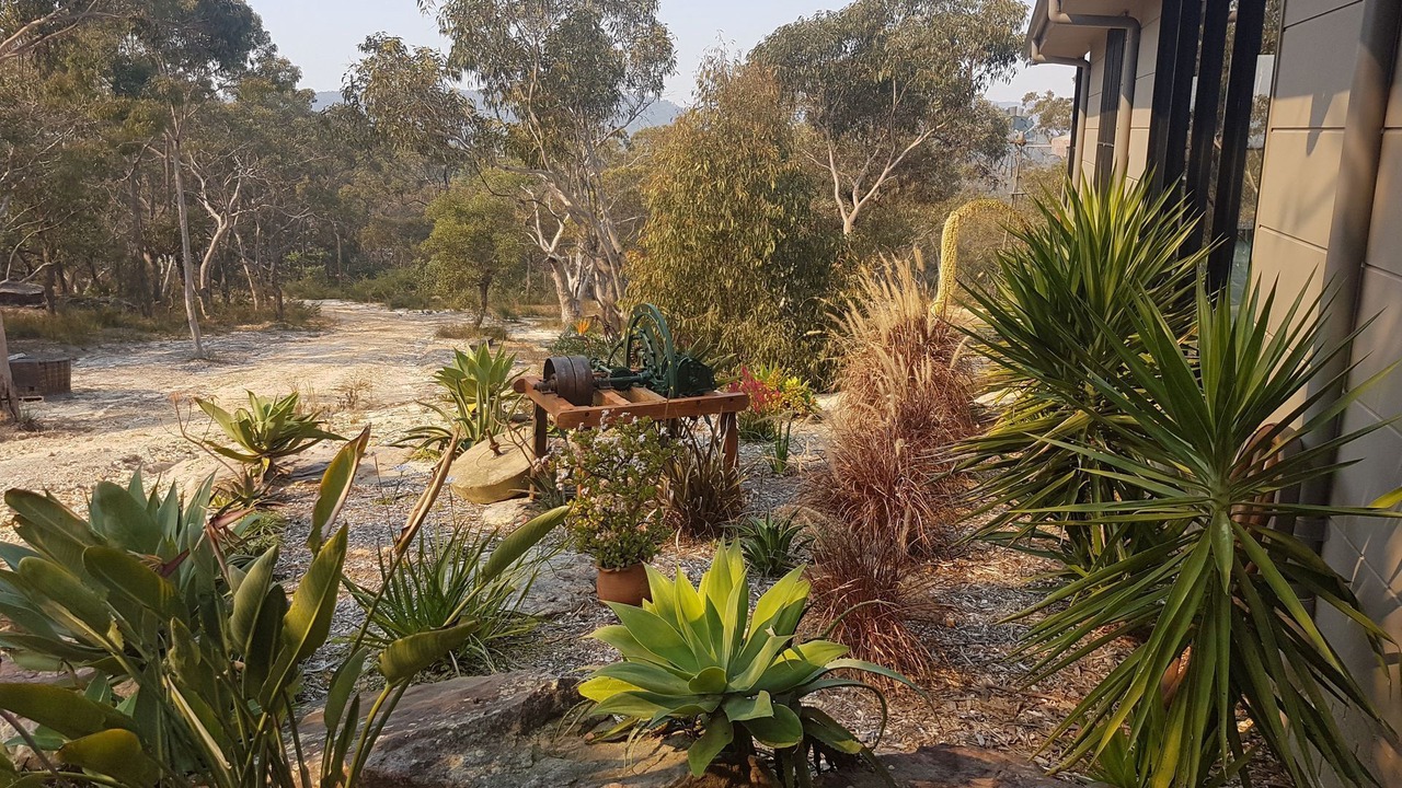 Photo of Outdoor in Berrilee