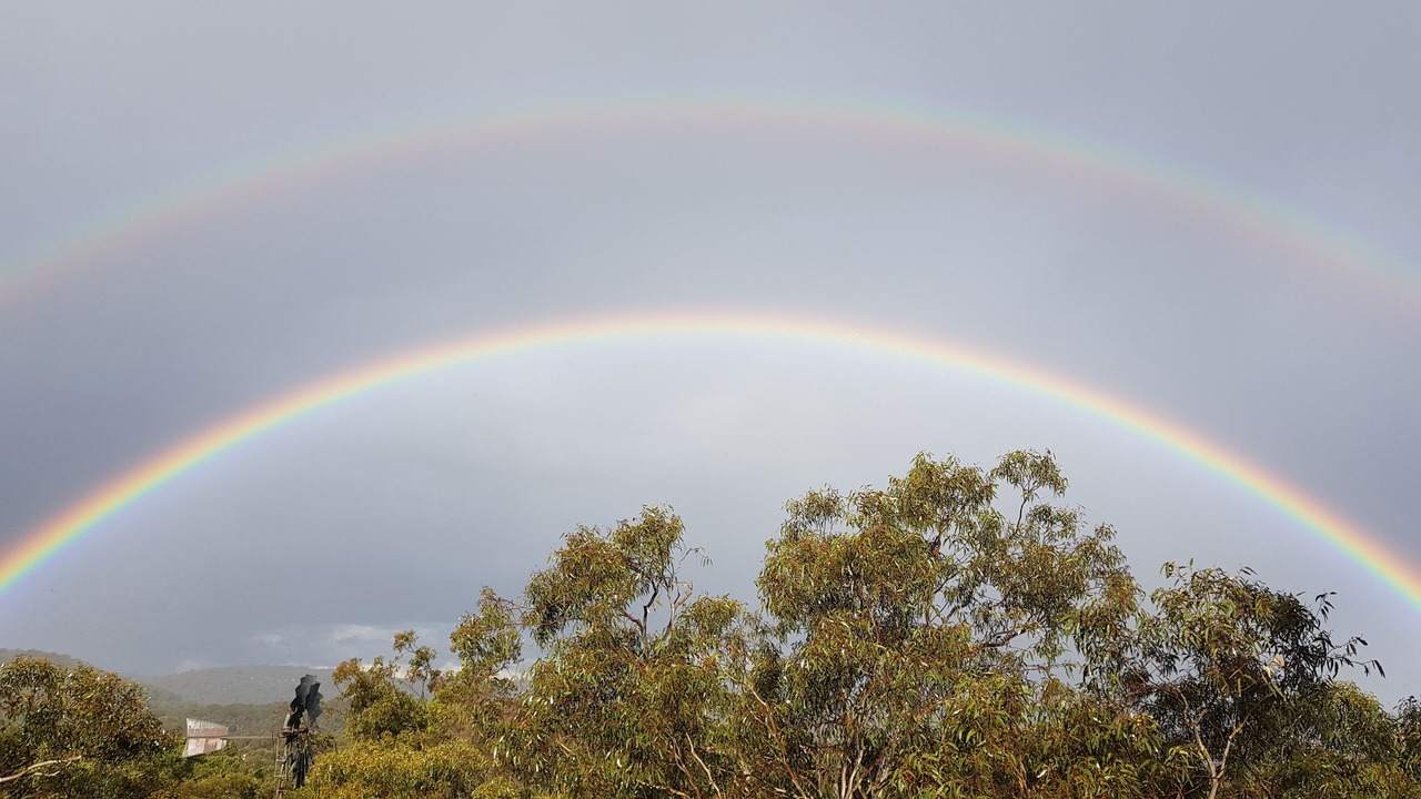 Photo of Others in Berrilee