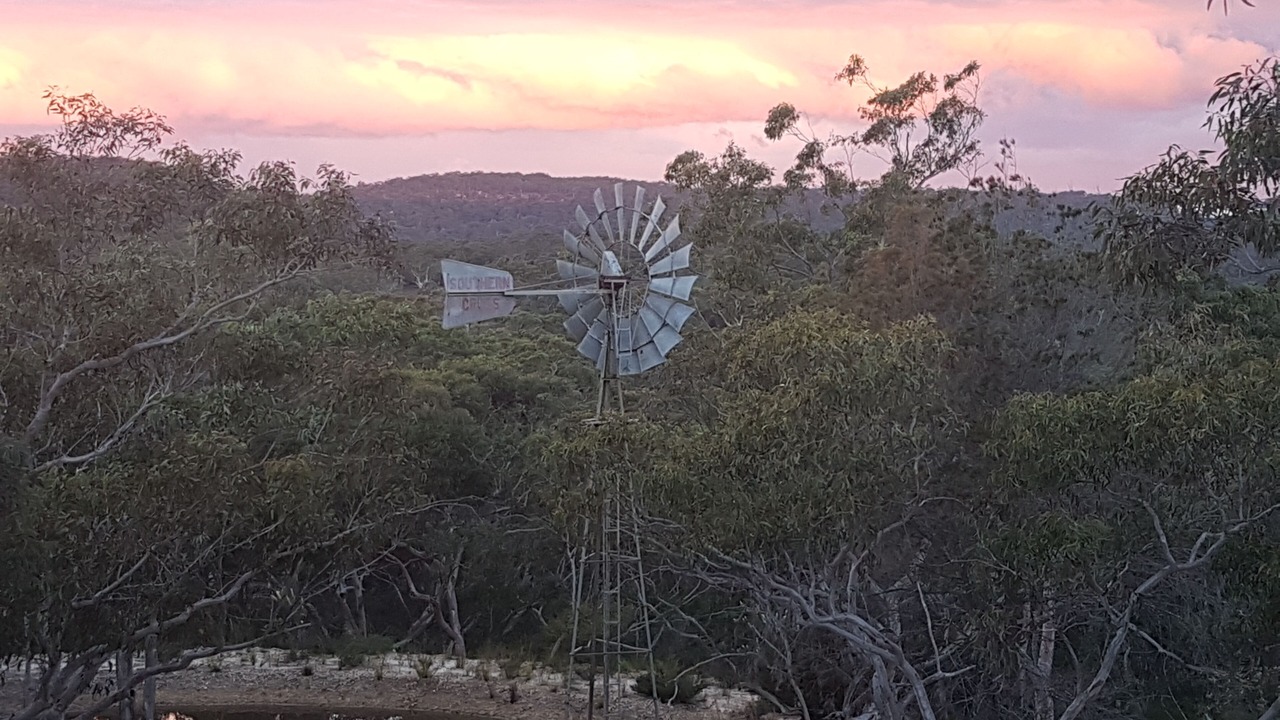 Photo of Outdoor in Berrilee