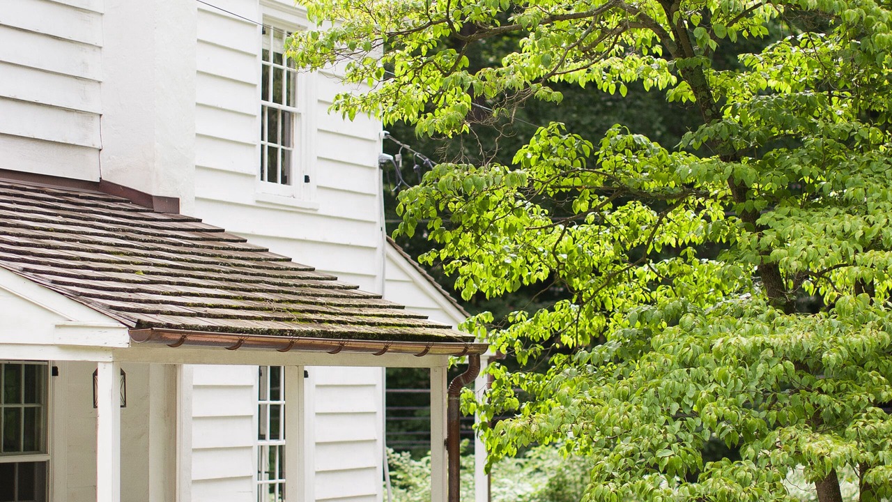 Photo of Outdoor in Wayne