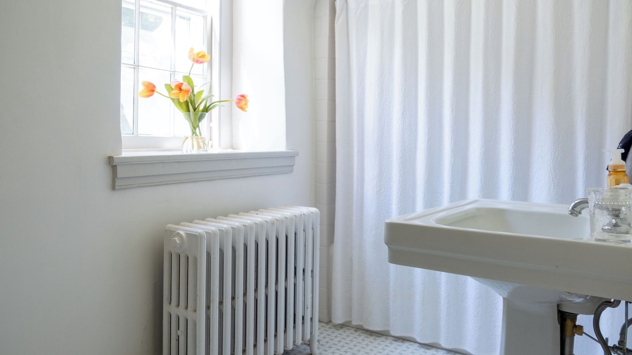 Photo of Others in Wayne