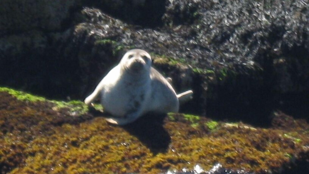 Photo of Others in Friendship