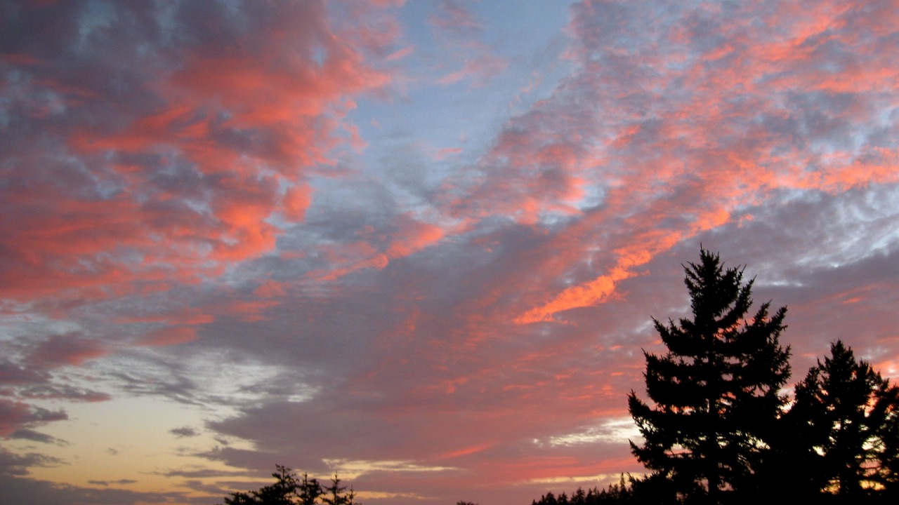 Photo of Outdoor in Friendship