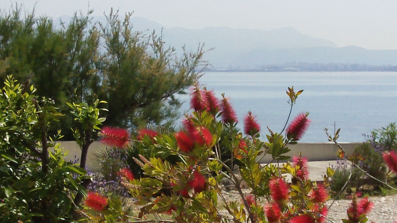 Photo of Outdoor in Kastel Stafilic
