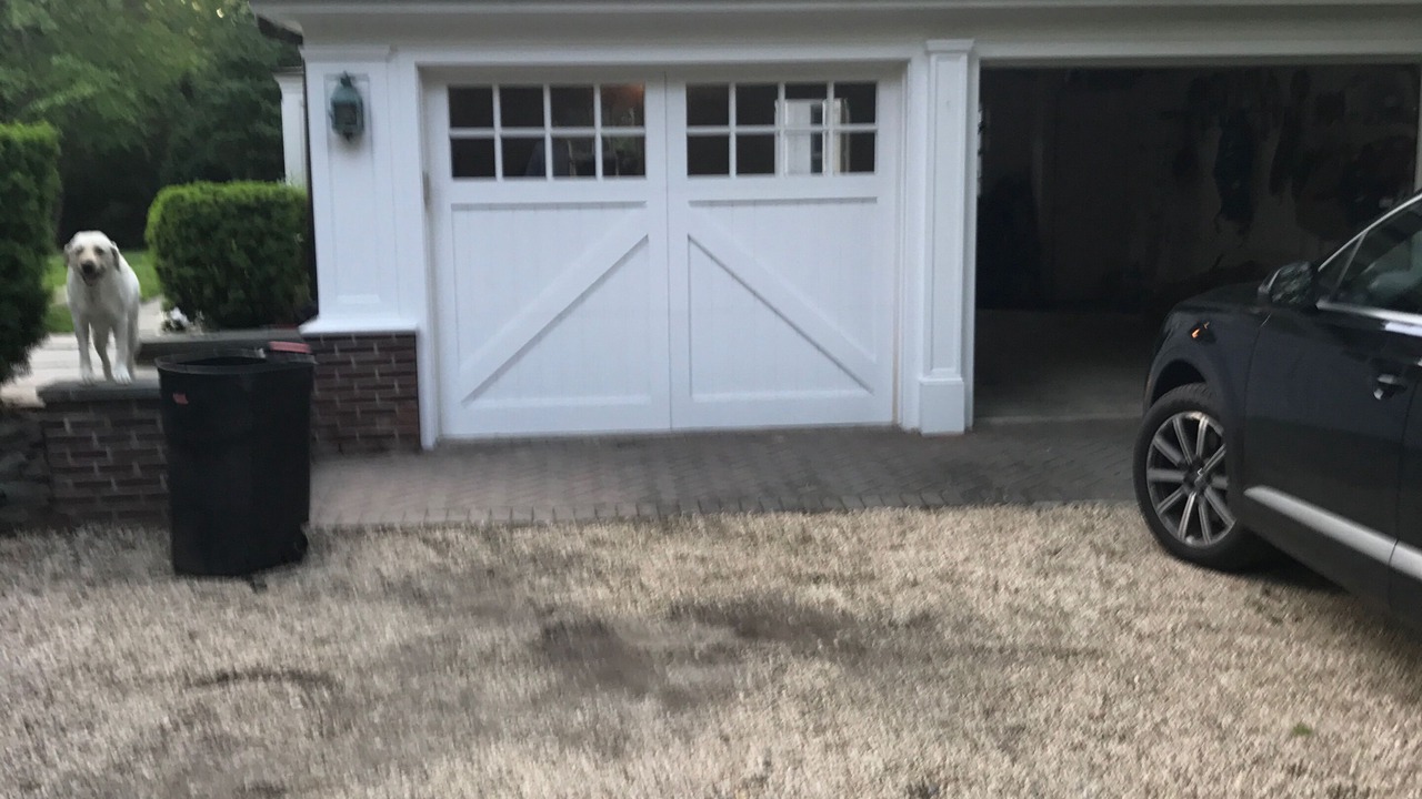 Photo of Outdoor in Glen Cove