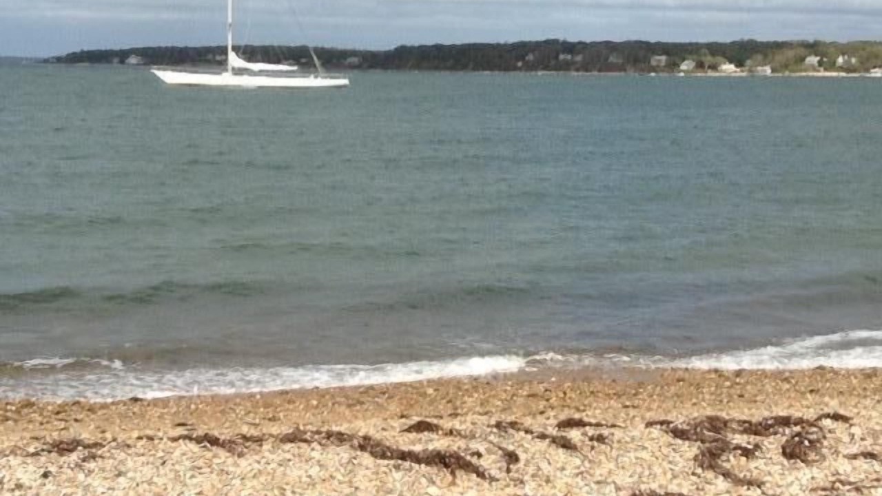 Photo of Outdoor in East Chop
