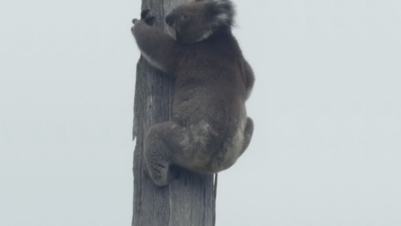 Photo of Others in Peterborough