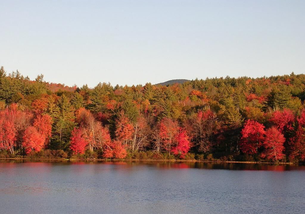 Photo of Others in Washington