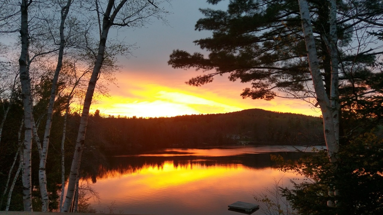 Photo of Others in Washington