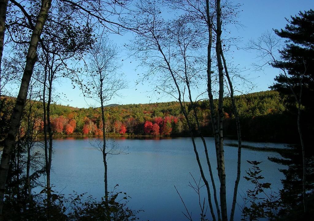 Photo of Others in Washington