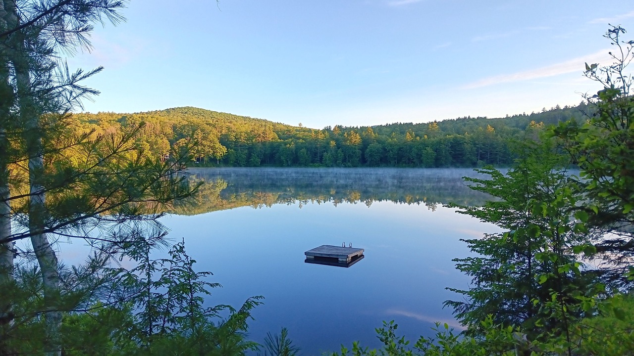 Photo of Others in Washington