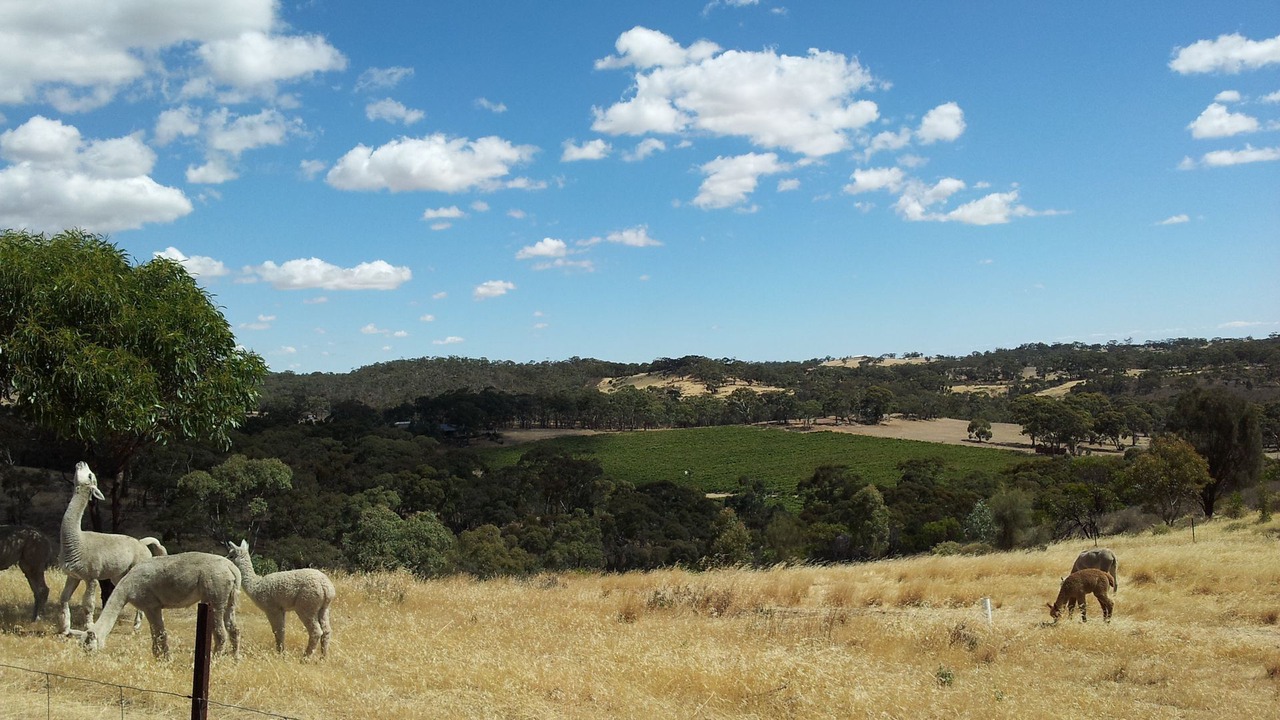 Photo of Outdoor in Emu Flat