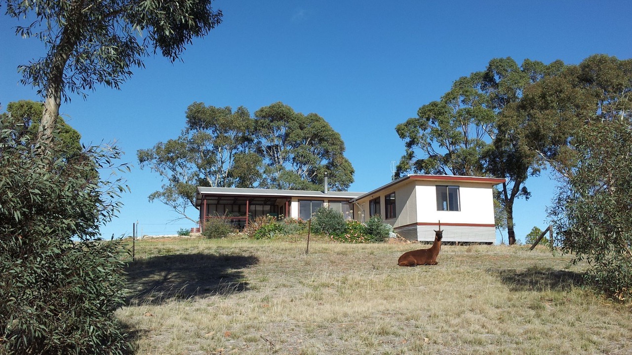 Photo of Outdoor in Emu Flat