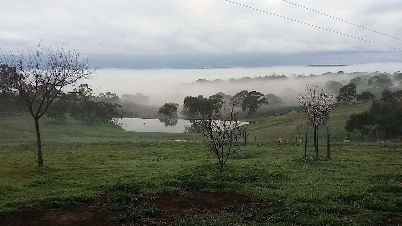 Photo of Others in Emu Flat