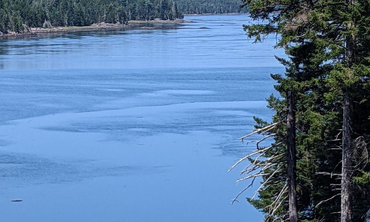 Photo of Outdoor in Lubec