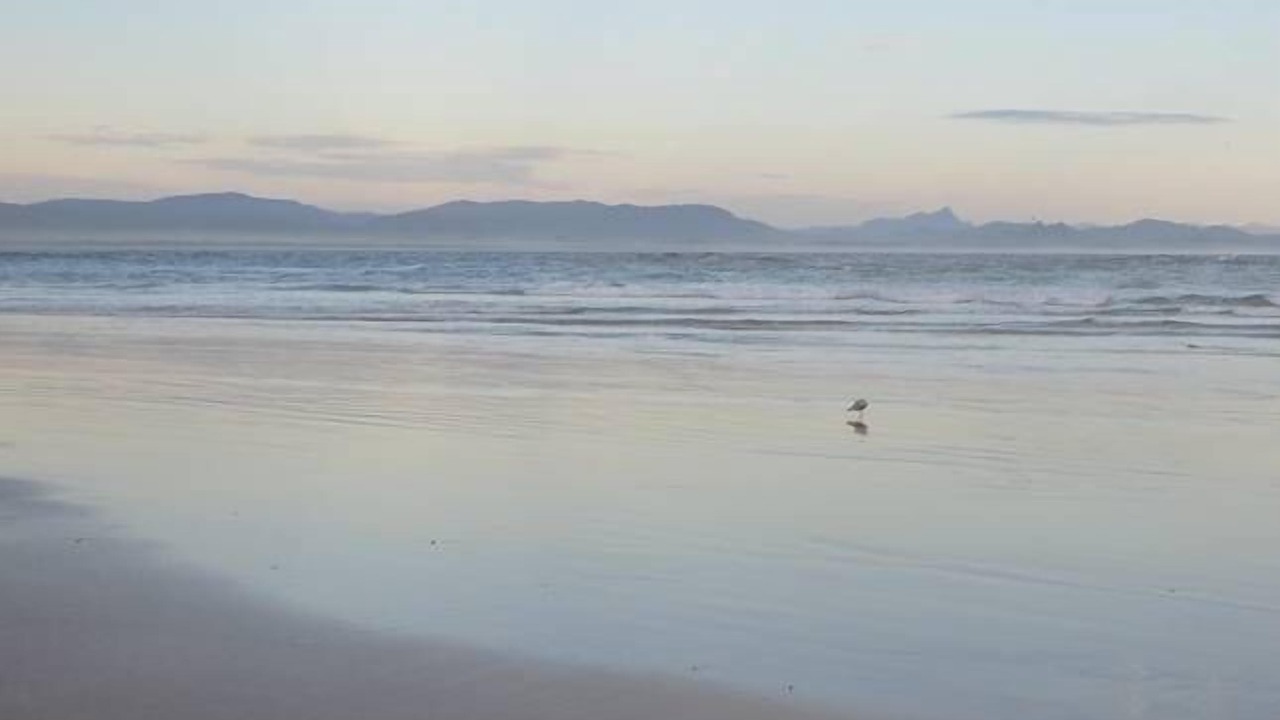 Photo of Others in Byron Bay