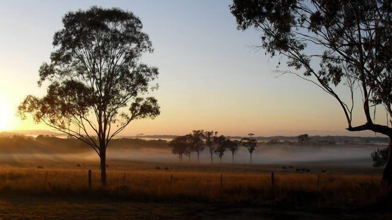 Photo of Others in Pokolbin