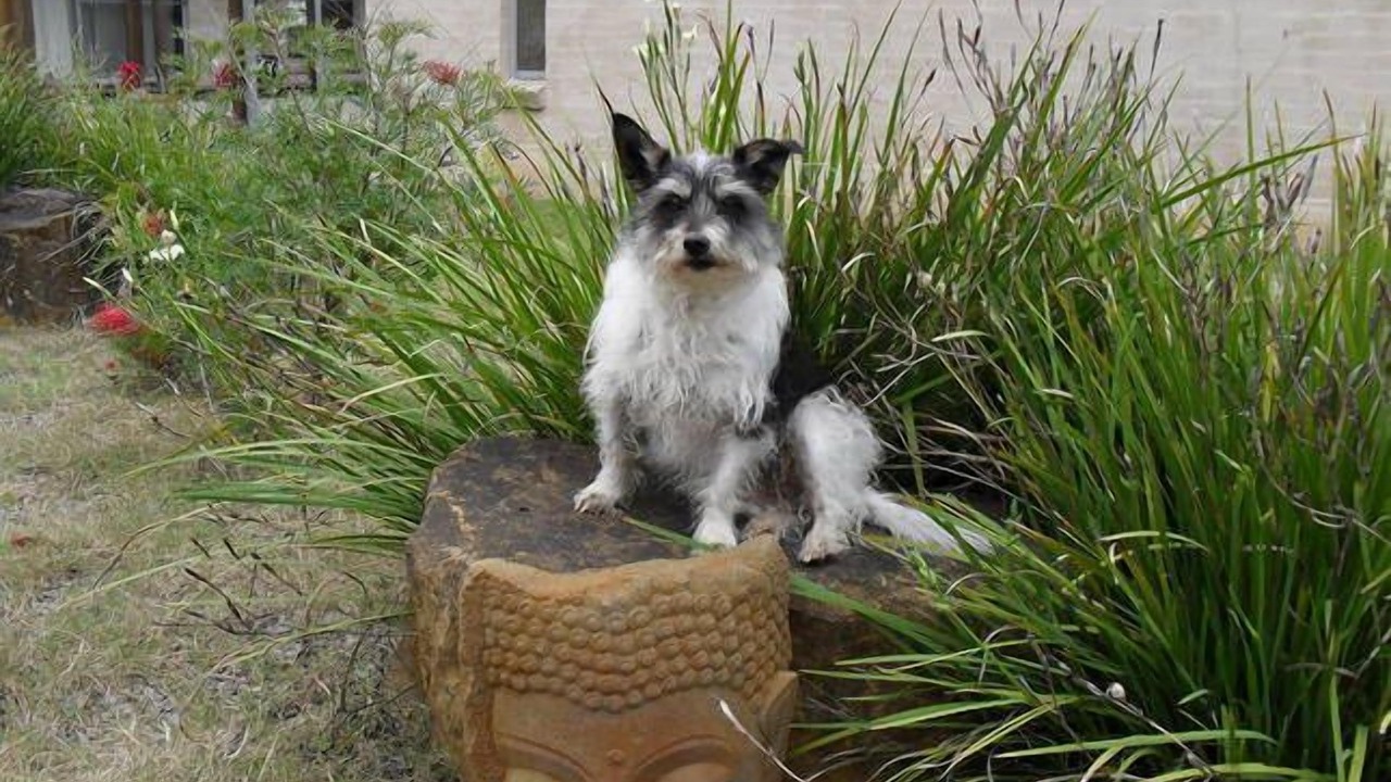 Photo of Outdoor in Pokolbin