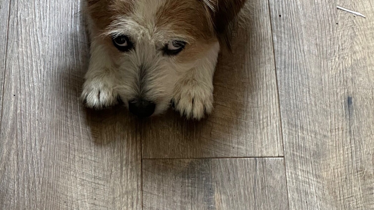 Photo of Others in Pokolbin