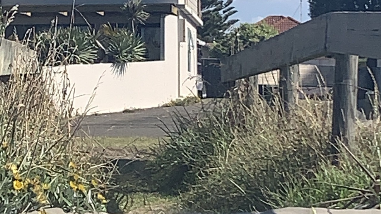 Photo of Outdoor in Ohope