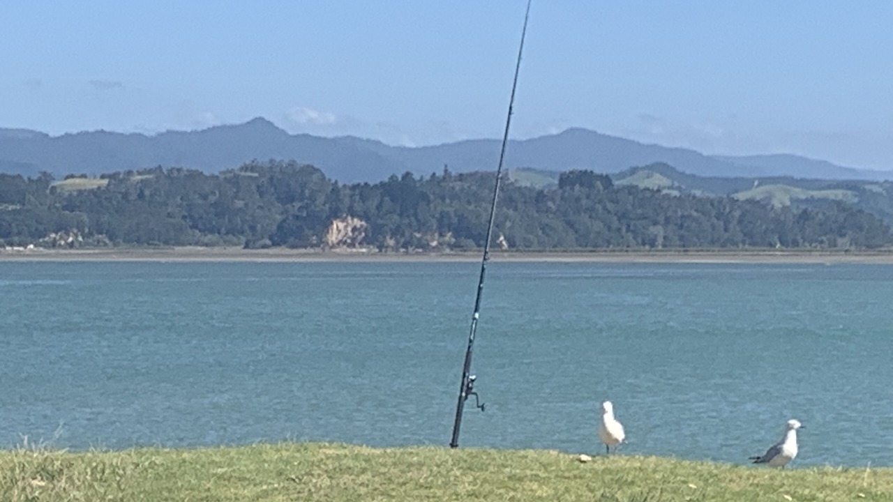 Photo of Others in Ohope