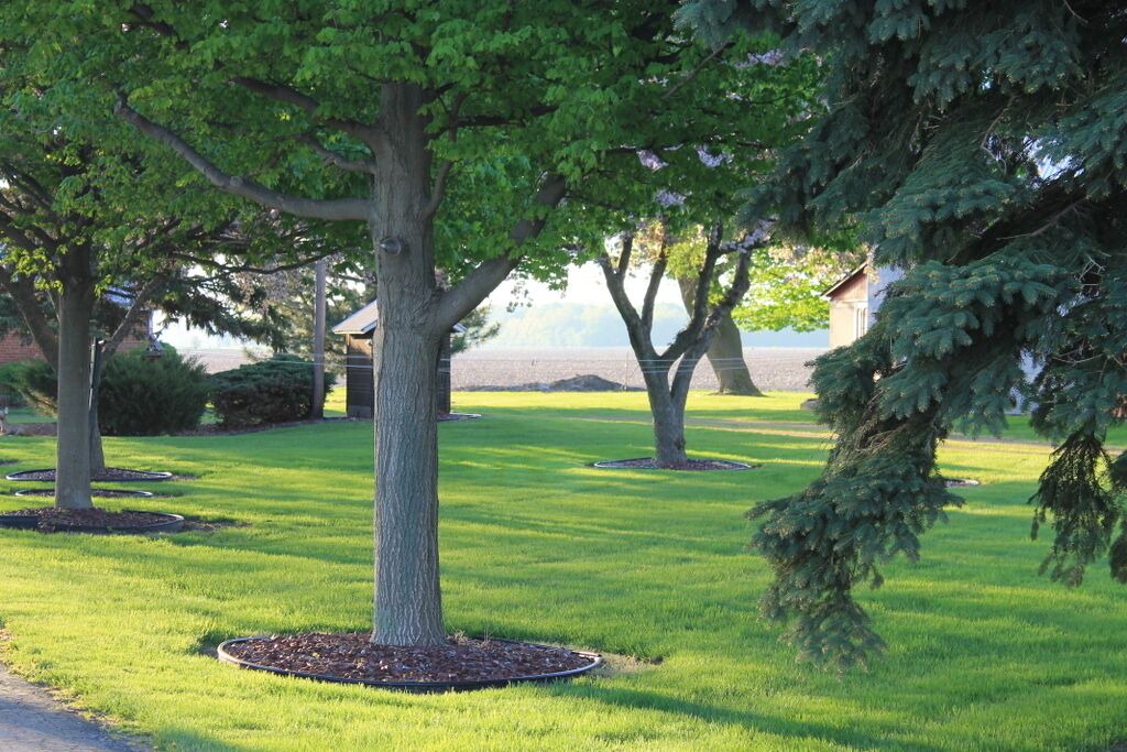 Photo of Outdoor in Frankenmuth