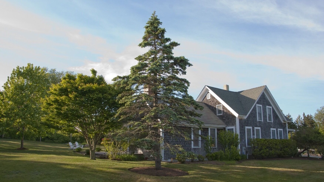 Photo of Others in Chilmark