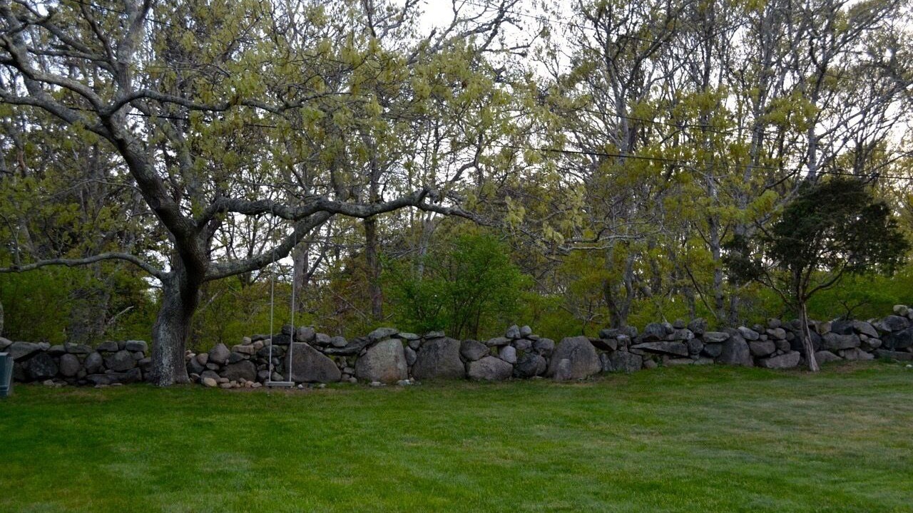Photo of Others in Chilmark