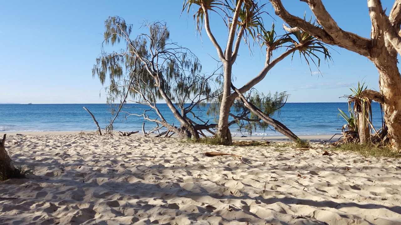 Photo of Others in Point Lookout