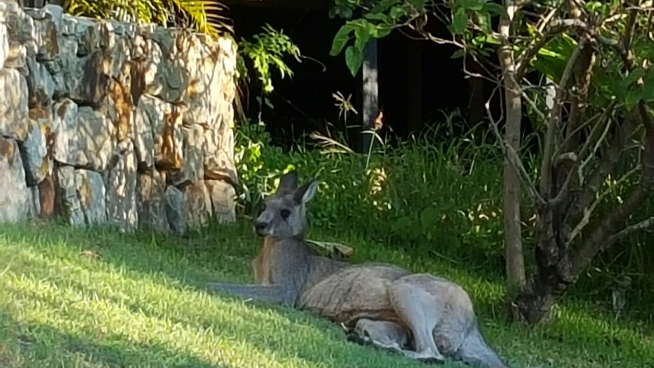 Photo of Others in Point Lookout