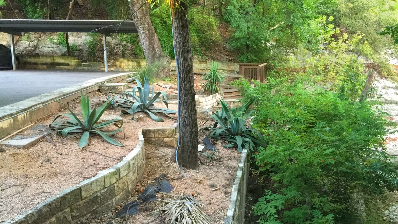 Photo of Outdoor in Travis Heights
