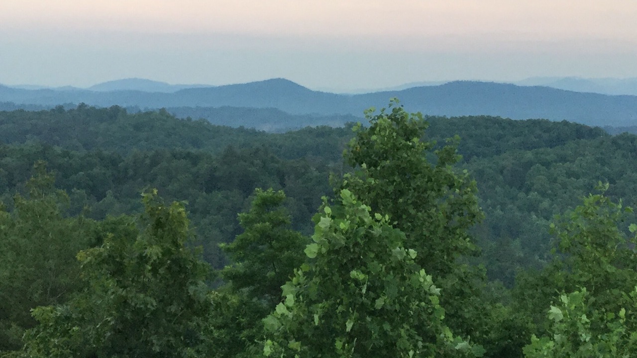 Photo of Others in Murphy