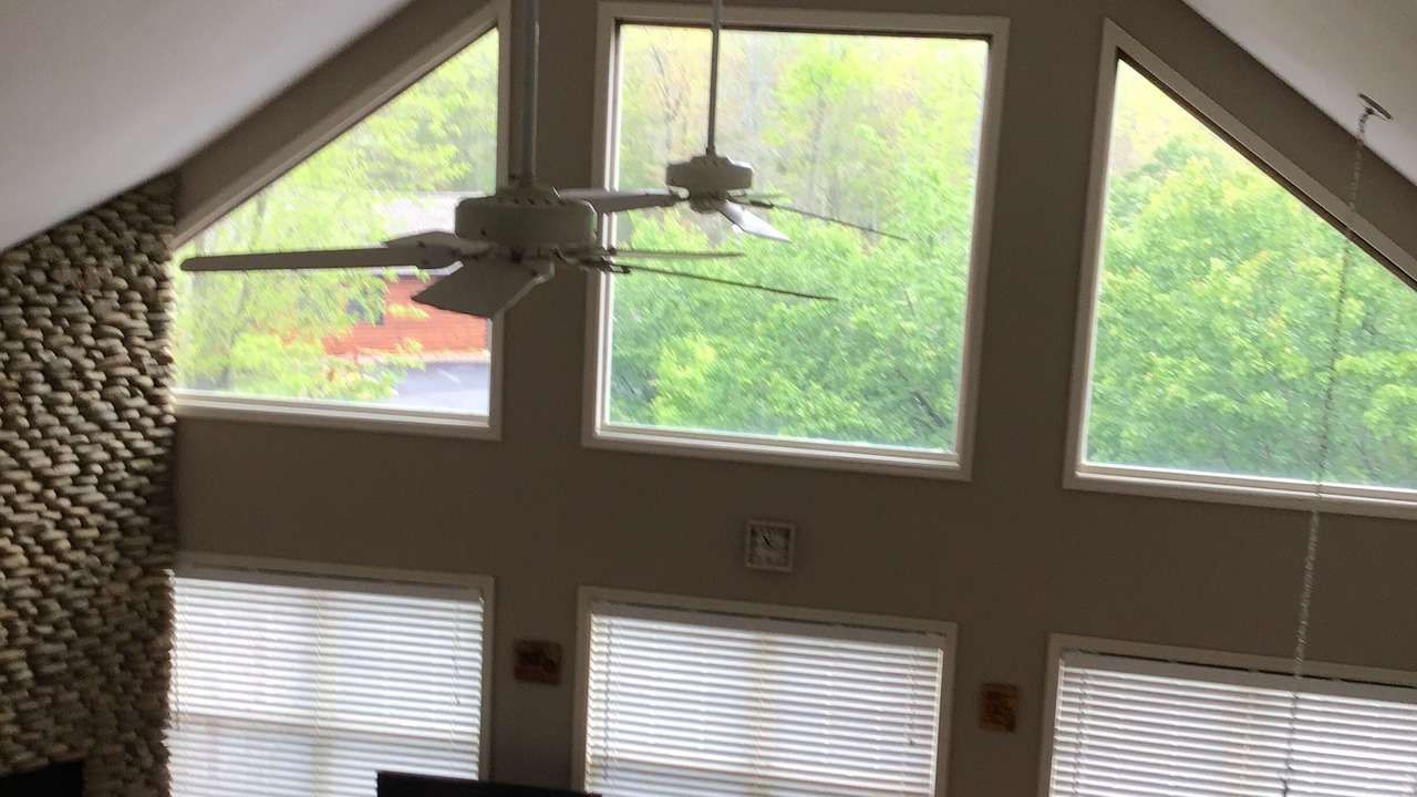 Photo of Others in Murphy