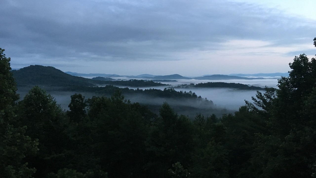 Photo of Others in Murphy