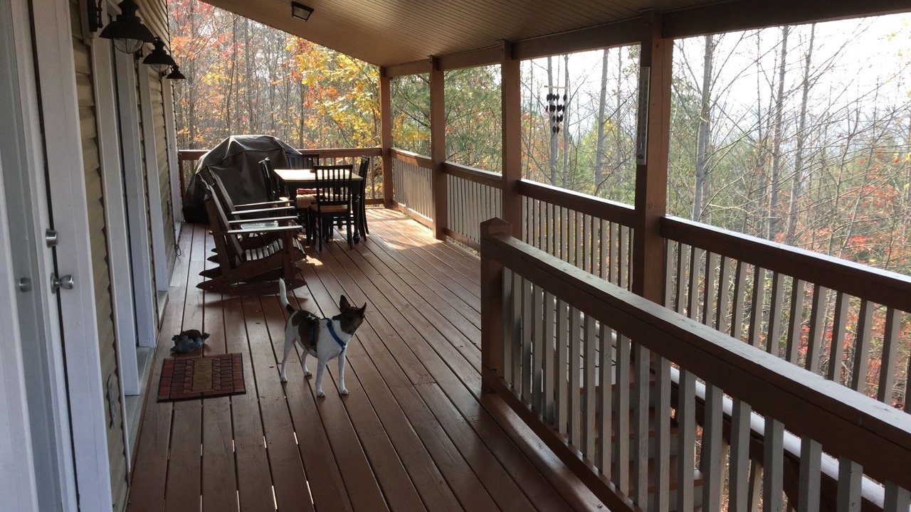 Photo of Others in Murphy