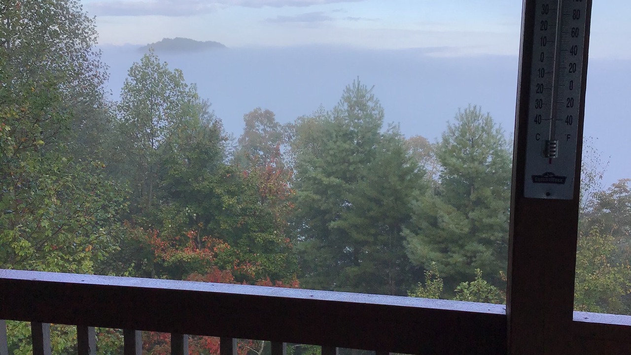 Photo of Others in Murphy