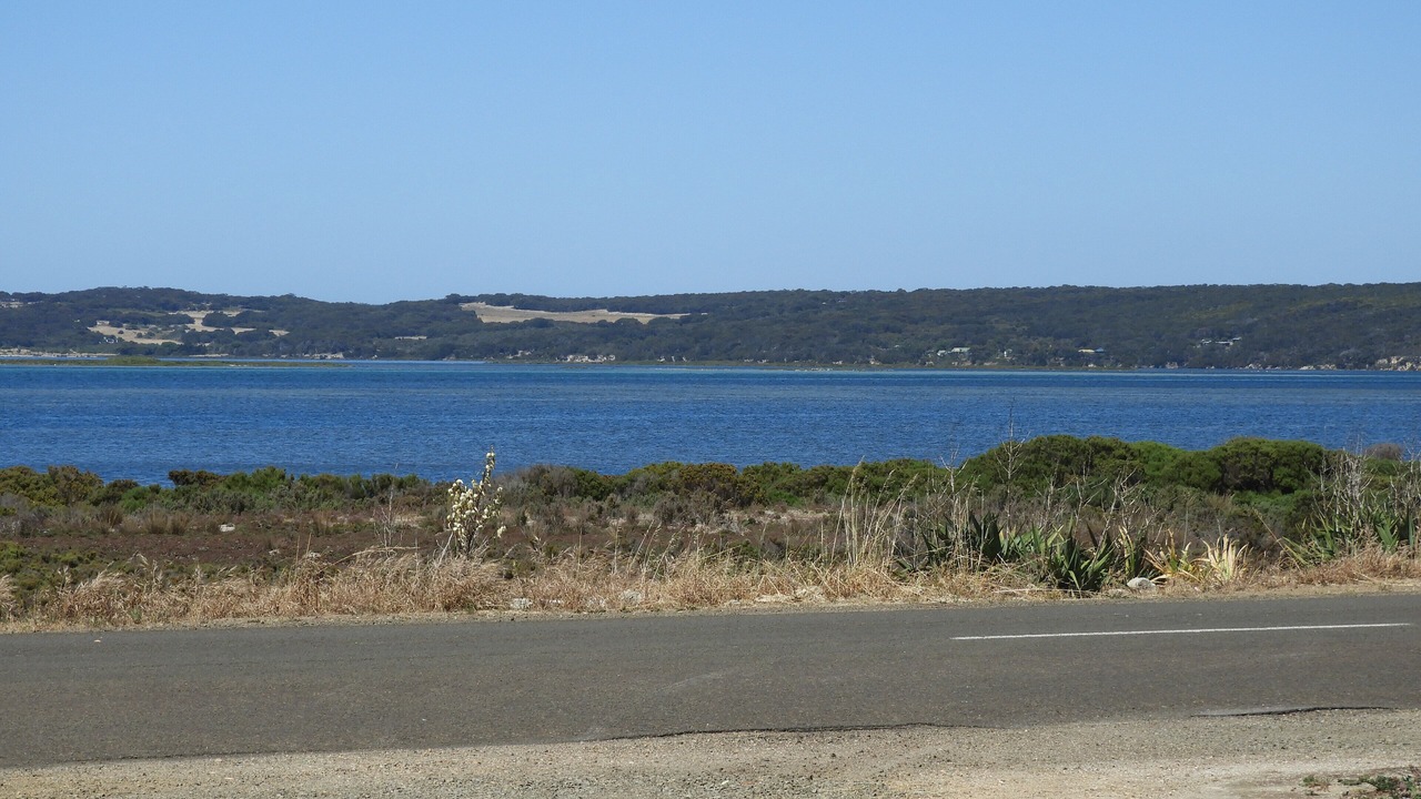 Photo of Others in American River