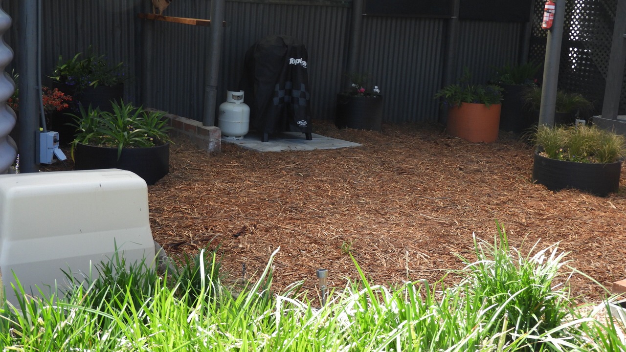 Photo of Others in American River