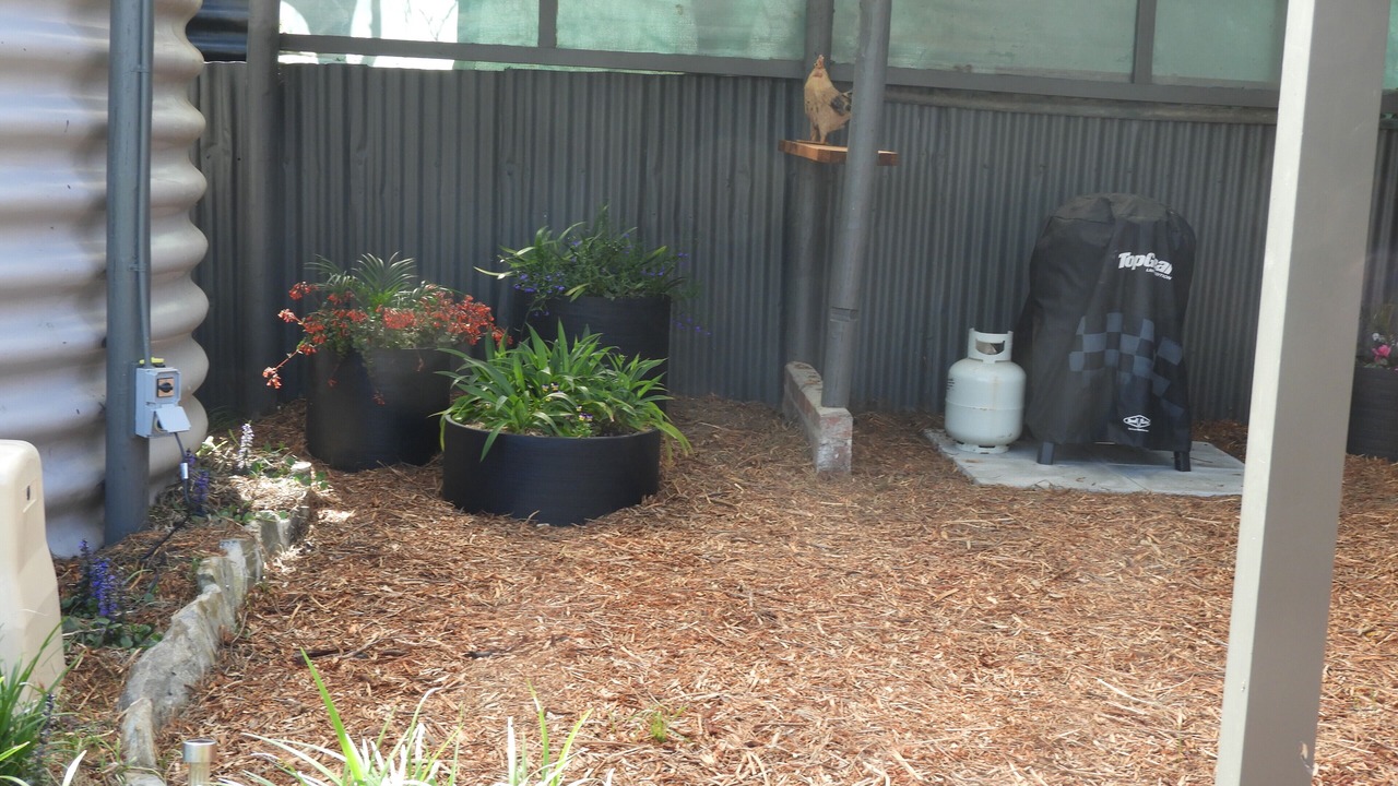 Photo of Others in American River