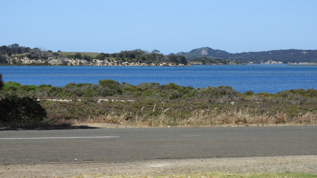 Photo of Others in American River