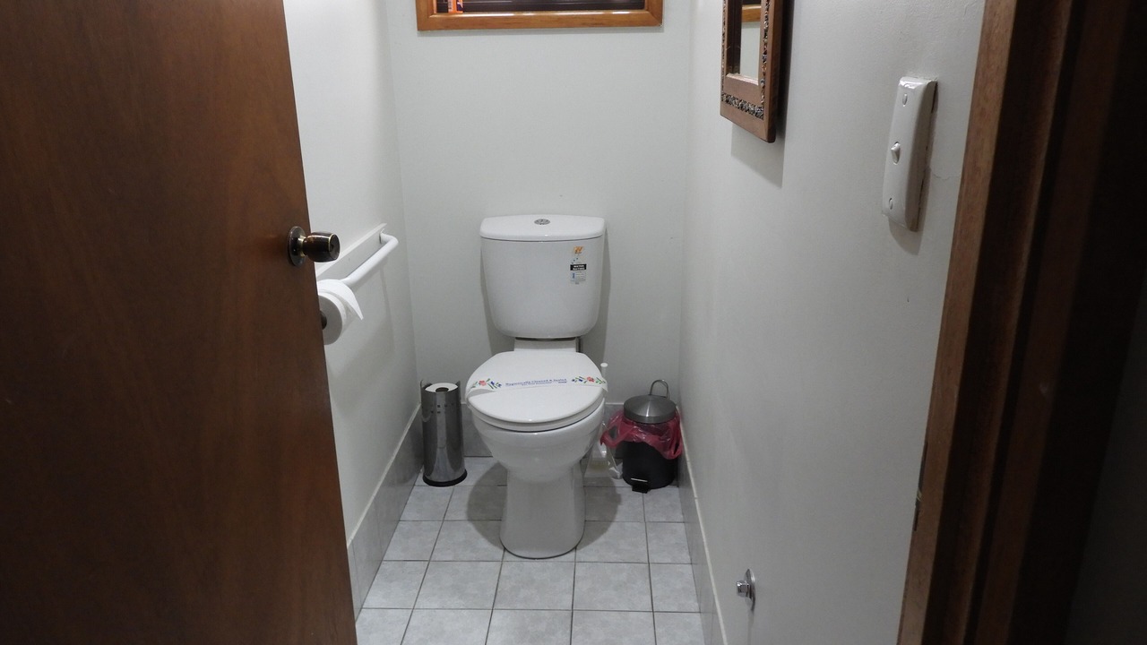 Photo of Others in American River