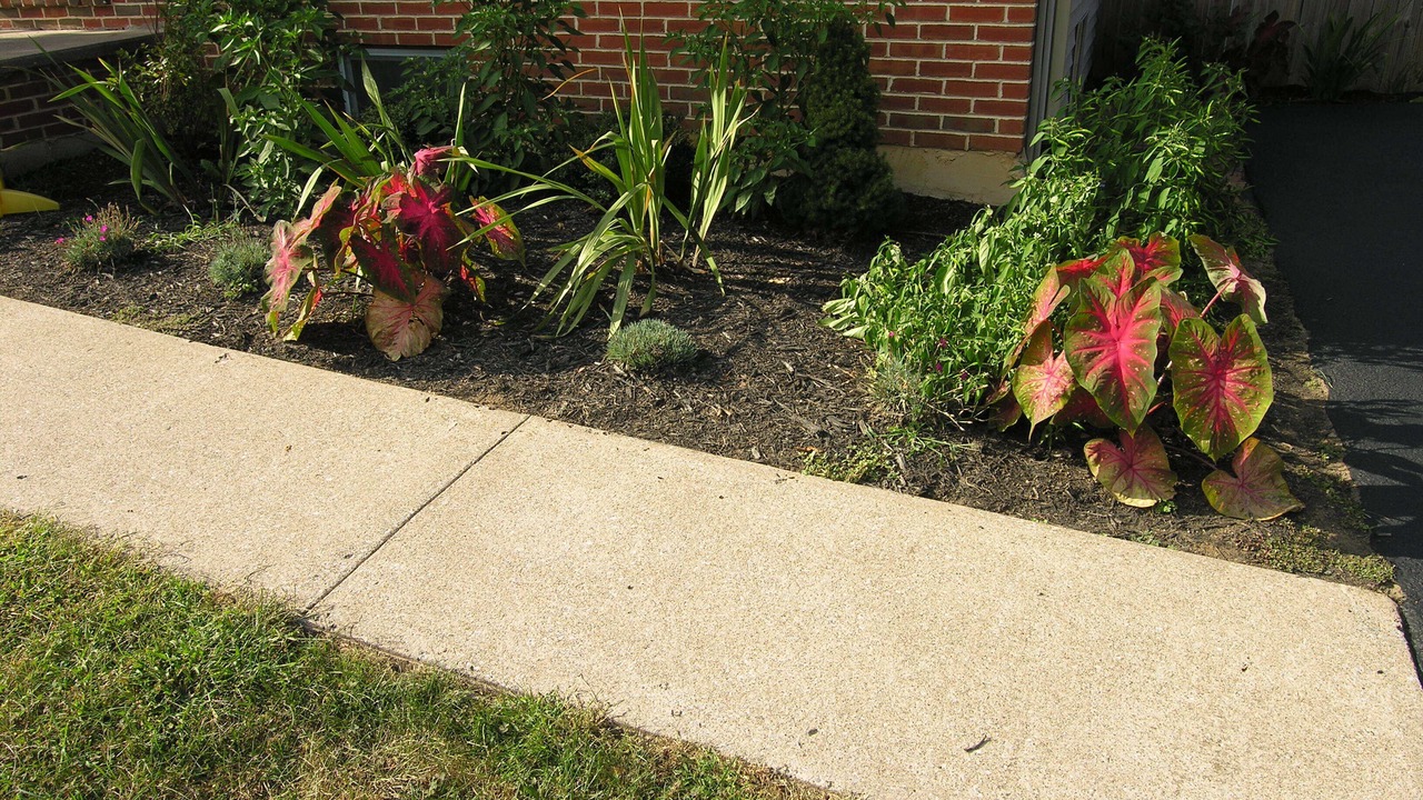Photo of Outdoor in Camp Hill