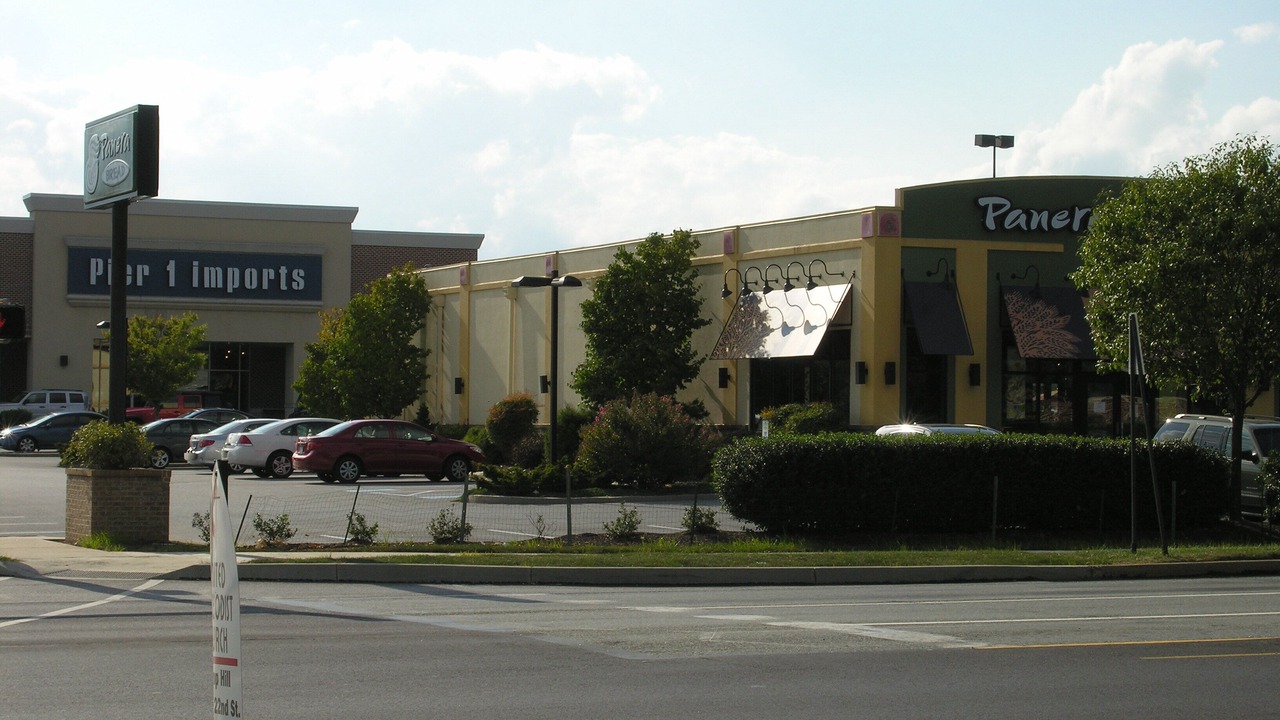 Photo of Others in Camp Hill