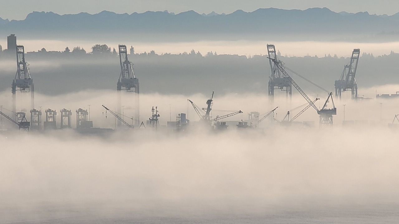 Photo of Others in North Admiral